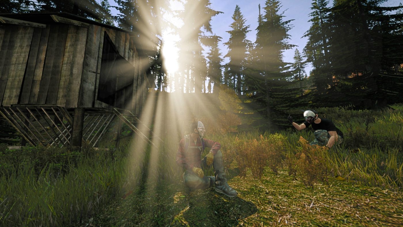 DayZ Standalone Alpha 