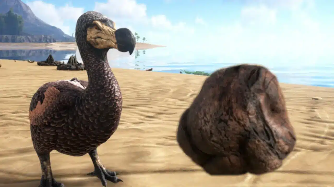 Kemas Kini Ark Survival Evolved 2.93 Membetulkan Pepijat dan Najis 6 Mac Ini