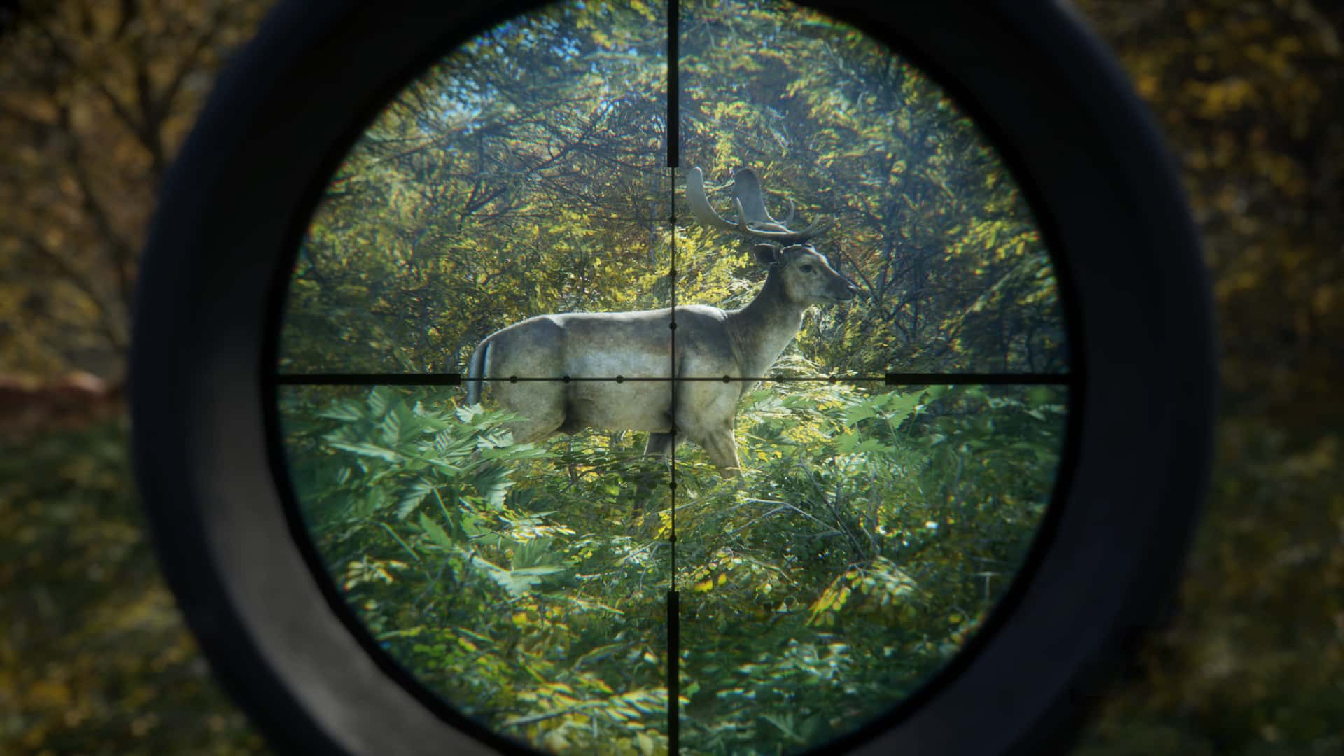 theHunter: Call of the Wild Update 1.77 untuk 6 Julai Gallops Out