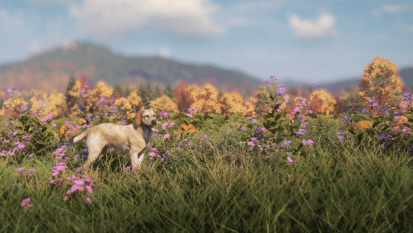 theHunter：野性呼唤拉布拉多猎犬 DLC 将于 11 月 28 日推出